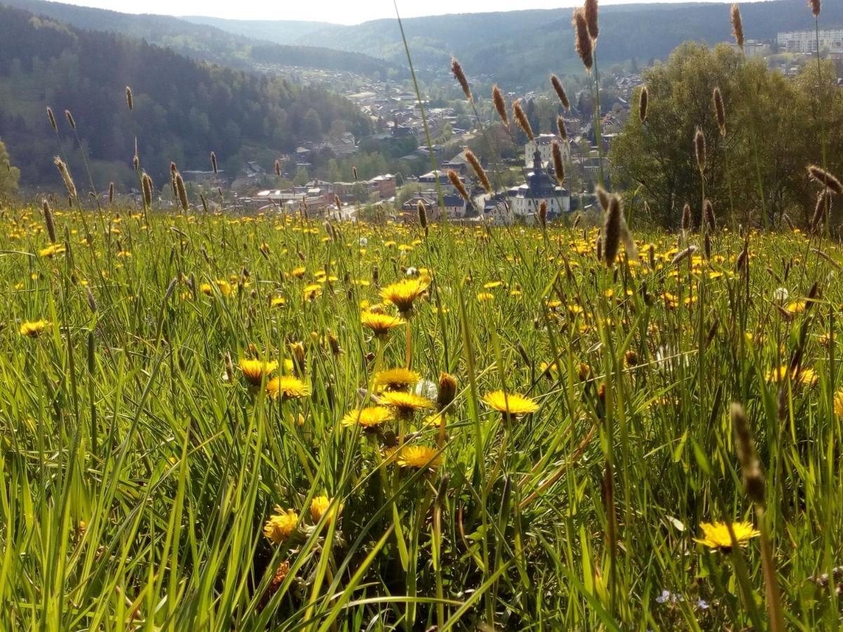 Ferienwohnung Doehlerwald Klingenthal Kültér fotó